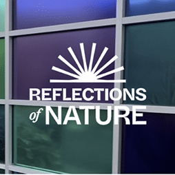 Reflections of Nature